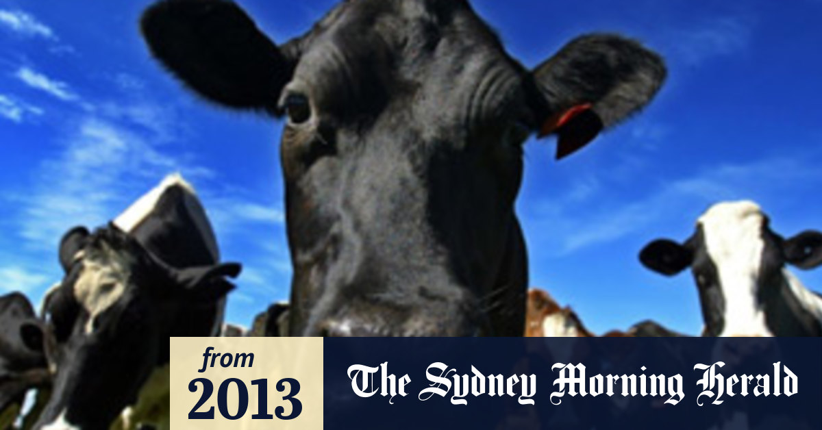 Dairy industry problems worry Ridley